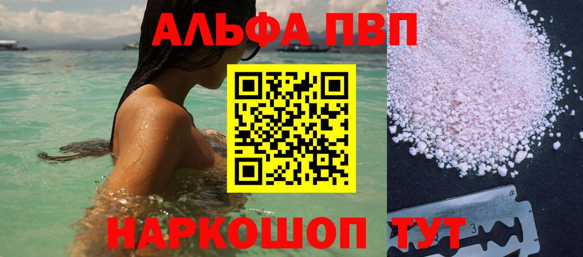 A PVP СК КРИС Кингисепп