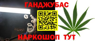 стаф Канаш