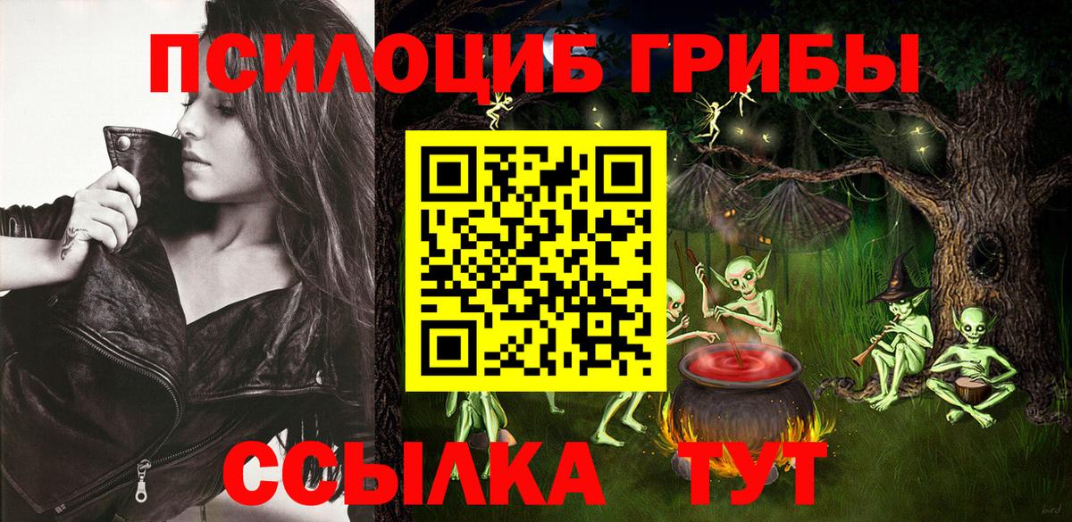 Псилоцибиновые грибы GOLDEN TEACHER Кингисепп